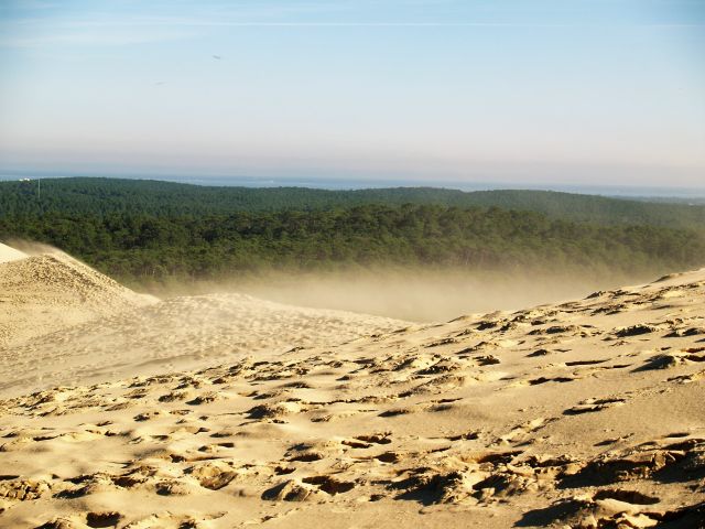 Spuren im Sand der Düne von Pilat, die sich 100 Meter über den Strand erhebt. Im Hintergrund grüne Wälder, auf die die Düne zuwandert.