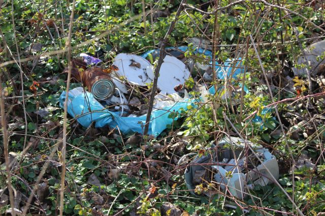 Ein aufgerissener großer baluer Müllsack mit einem alten Topf, leeren Blechdosen und weiterem Müll - umgeben vom aufkommenden Frühlingsgrün.
