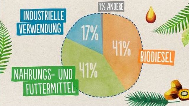 Grafik mit der Verteilung des in Deutschland genutzten Palmöls. Nahrungs- und Futtermittel 41 %, Industrielle Verwendung 17 %, Biodiesel 41 %.