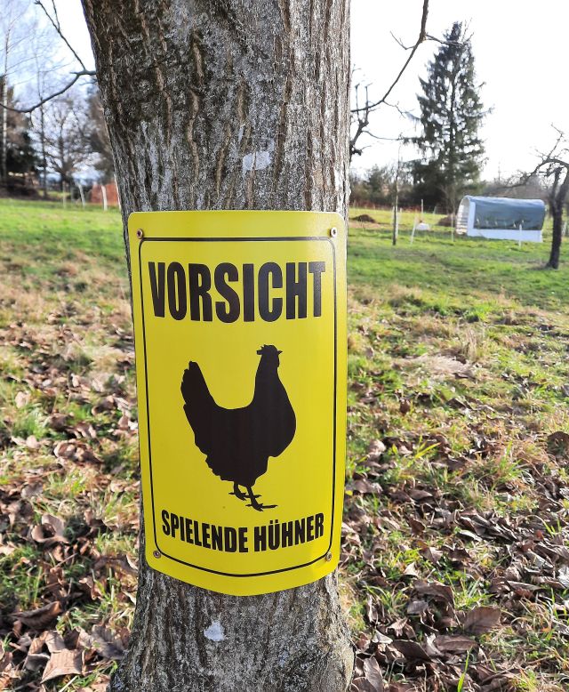 Gelbes Schild mit schwarzem Text: "Vorsicht Spielende Hühner" und einem schwarzen Huhn.
