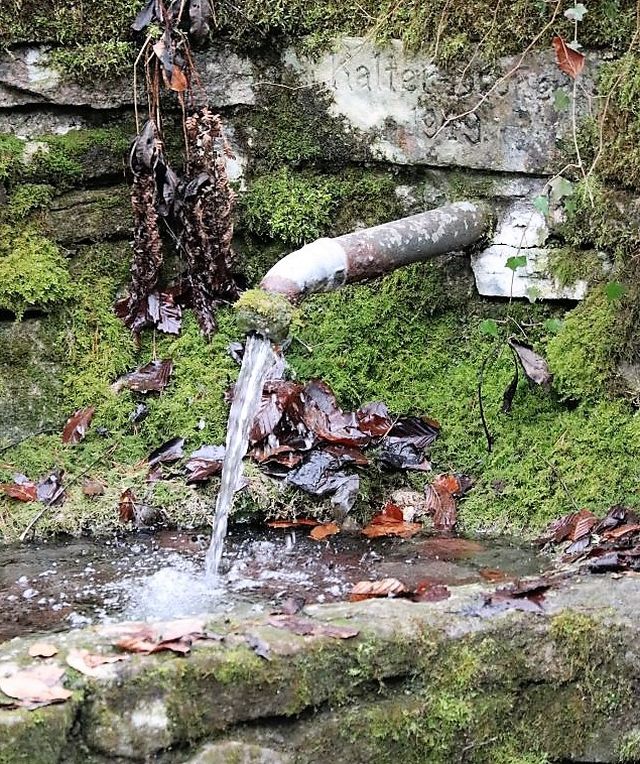 Aus einem Metallrohr läuft das Wasser in einen steinernen Brunnentrog. Ringsum grünes Moos und braune Blätter.