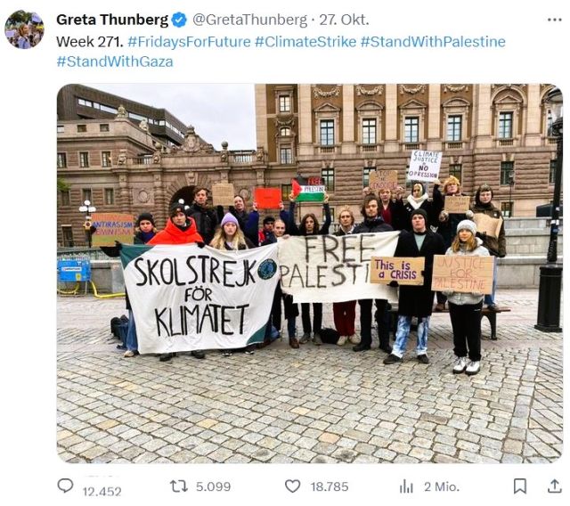 Jüngere Demonstranten mit Transparenten vor einem Gebäude. Texte: "Free Palestine", "Justice for Palestine" (gehalten von Greta Thunberg), "Skolstrejk för Klimatet".