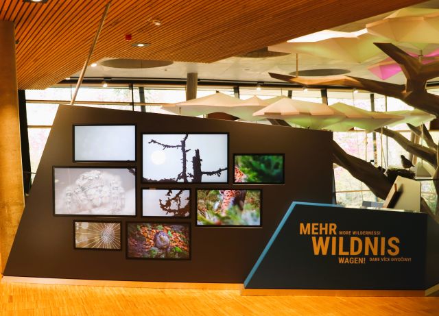 Eingangsbereich des Nationalparkzentrums Falkenstein. Zu sehen ist eine Wand mit Bildern und dem Text "MEHR WILDNIS WAGEN".