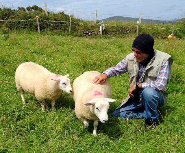 Ein Mann mit schwarzer Mütze, ärmelloser Jacke und einem karierten Hemd streichelt ein Schaf.