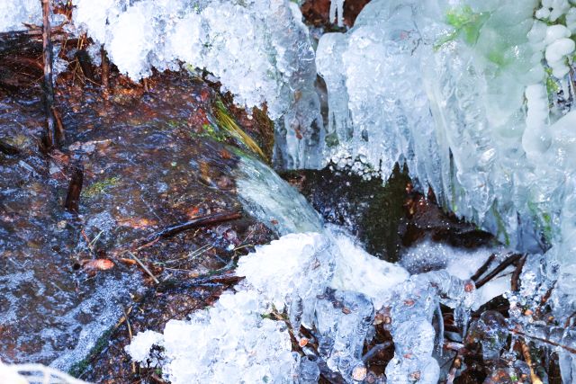 Wasser eines kleinen Bachs fließt zwischen Pflanzen hindurch, an denen sich das Wasser als Eis festgesetzt hat.