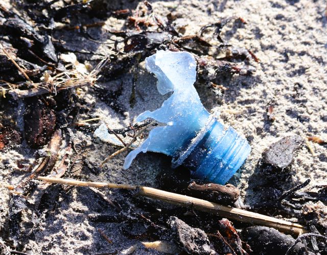 Der oberste Teil einer blauen PET-Flasche liegt auf Sand und Seetang.